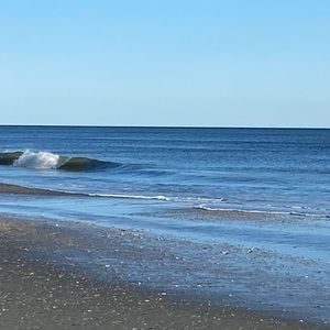 Meet your Posher, Beverly